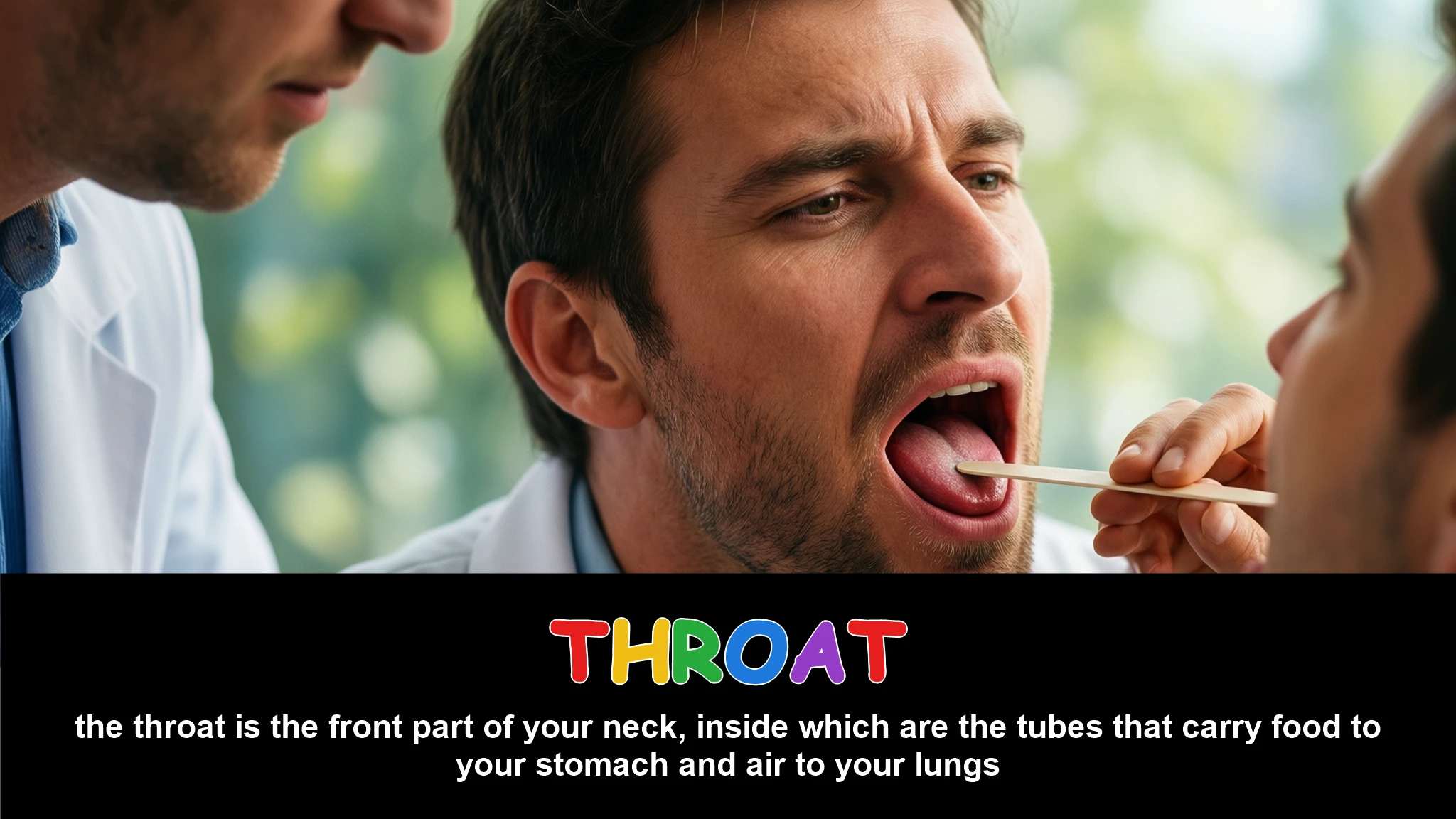 English Illustration for throat